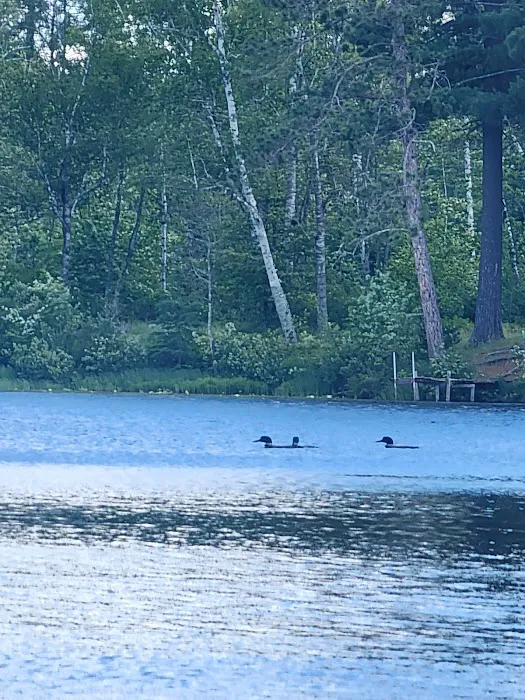 Boot Lake Camp Picture 7