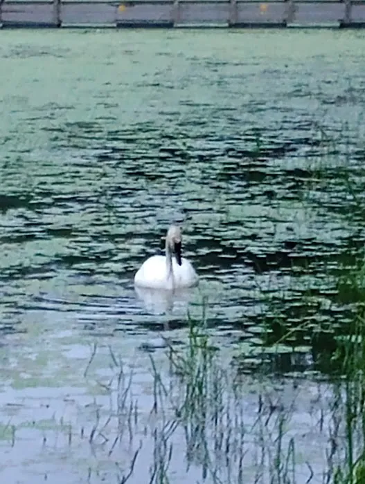 Savanna Portage State Park Campground Picture 6