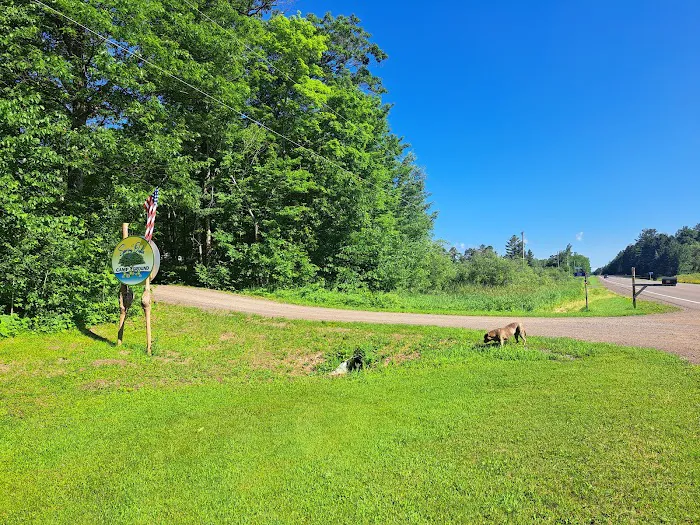Spring Oaks Campground Picture 7