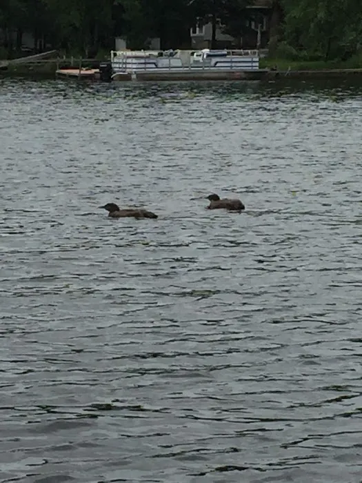 Island Lake Campground Picture 6