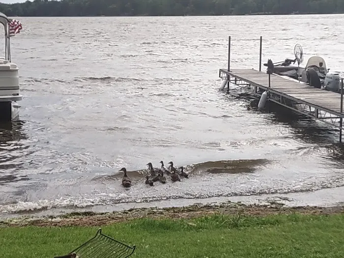 Island Lake Campground Picture 2