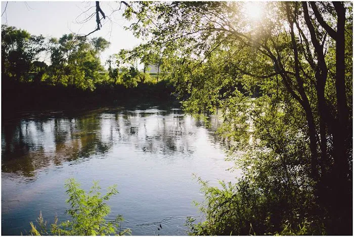 Elkhorn Shores Picture 6