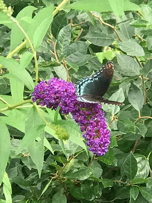 R U LOST? RV LOTS Picture 1