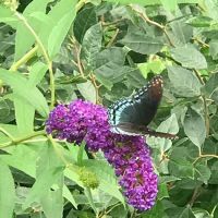 R U LOST? RV LOTS ico