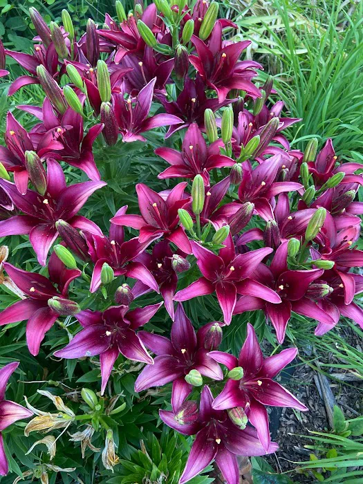 R U LOST? RV LOTS Picture 7