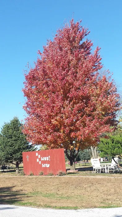 R U LOST? RV LOTS Picture 9