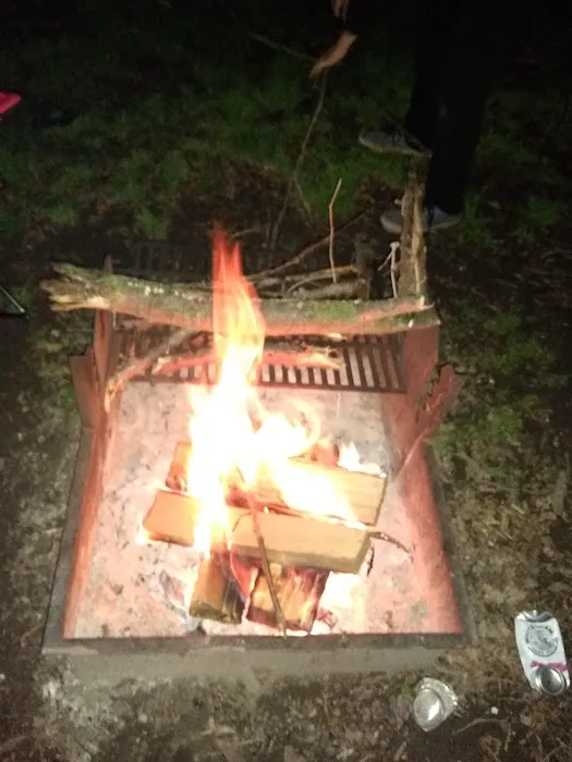 Little Creek Campground Picture 5
