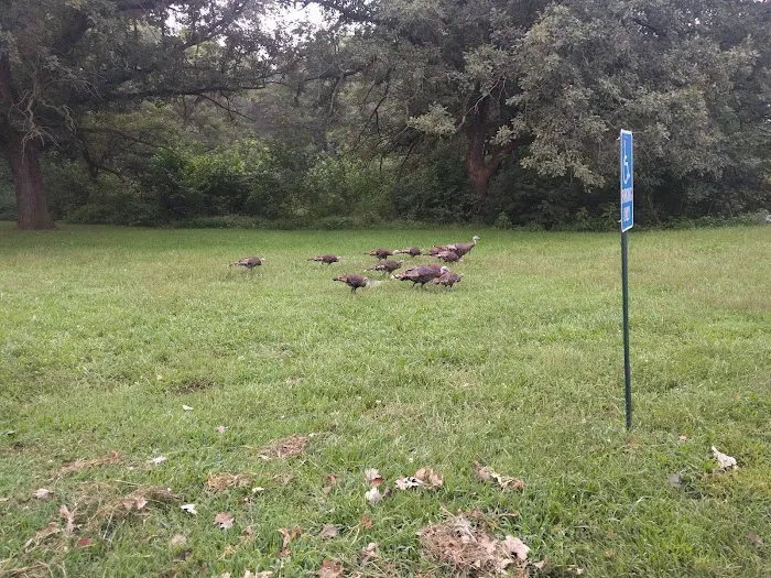 Little Creek Campground Picture 6