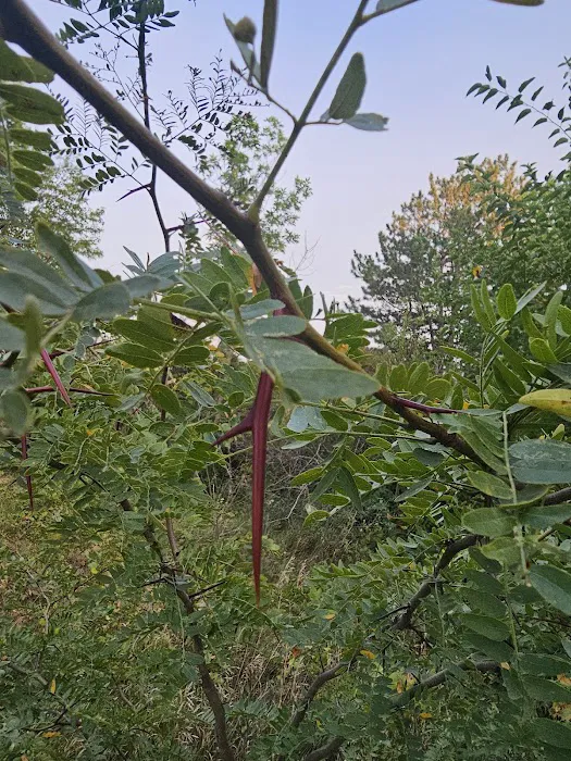 Lakeside Campground Picture 1