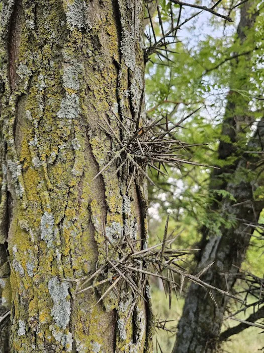 Lakeside Campground Picture 3