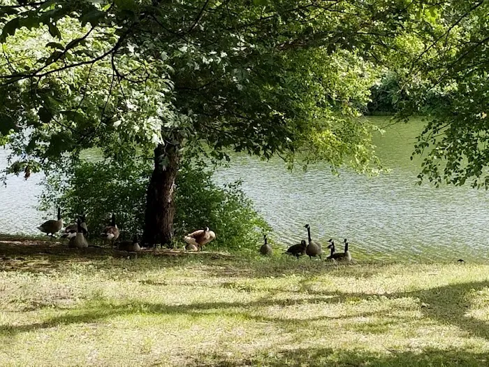 Lakeside Campground Picture 8