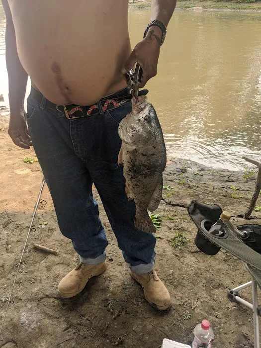 Catfish Run WMA, Kayak Landing Picture 10