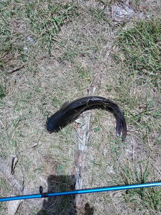 Riverside Campground Picture 7