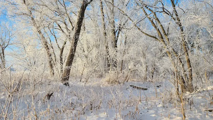 Riverside Campground Picture 10