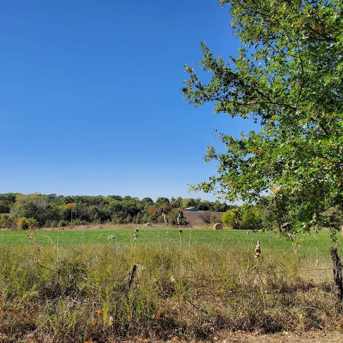 Soggy Bottom Campground Picture 8