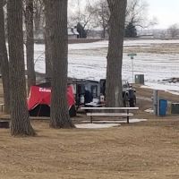 Viborg Campgrounds ico