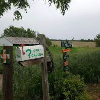 Camp Carlow Hipcamp ico