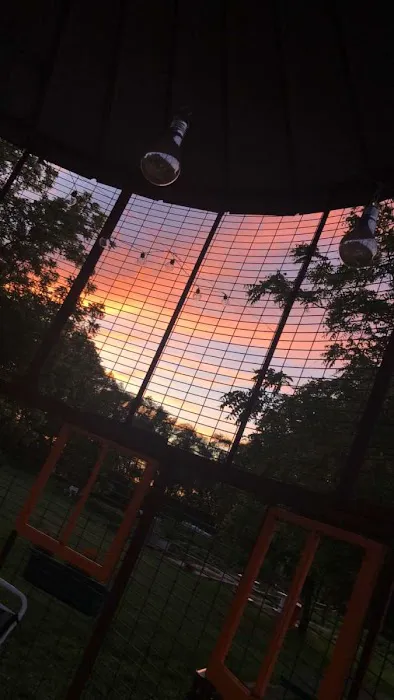 Camp Carlow Hipcamp Picture 6