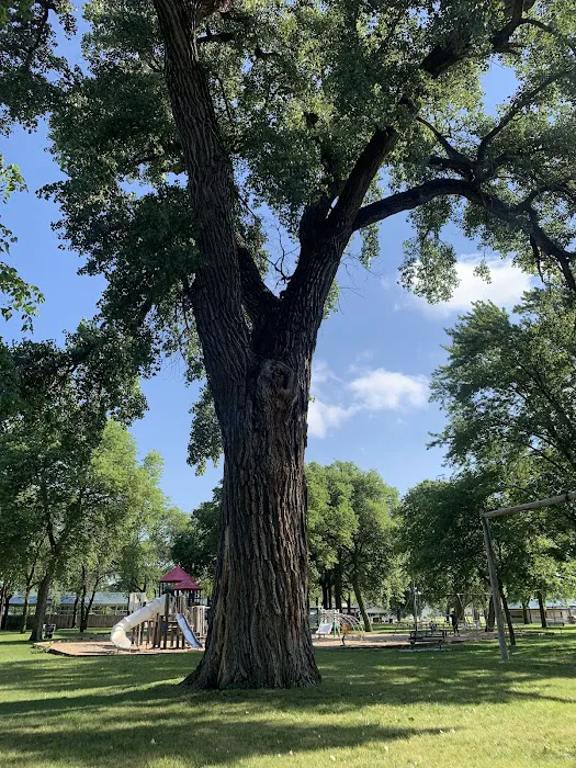 Neligh Park Campground Picture 3