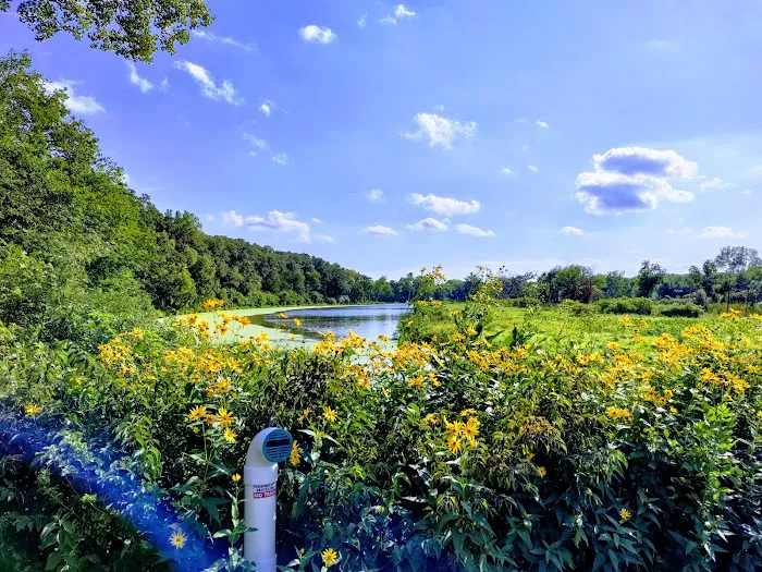 Dead Timber State Recreation Area Picture 9