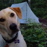 East Gooseberry Campsite