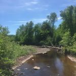 Middle Gooseberry Camp