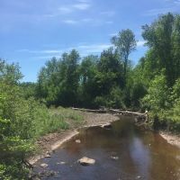 Middle Gooseberry Camp ico