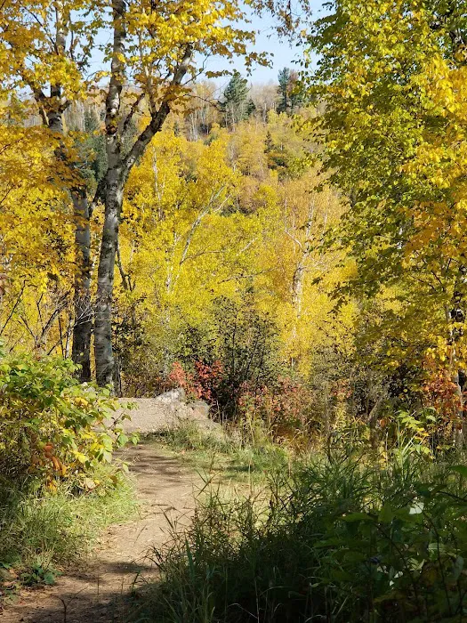 Gooseberry Falls State Park, Group Camp Site Picture 5