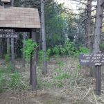 Indian Lake Campground