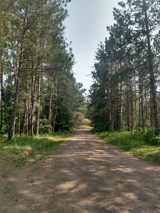 Indian Lake Campground Picture 3