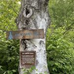 Blueberry Hill Campsite