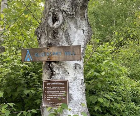 Blueberry Hill Campsite