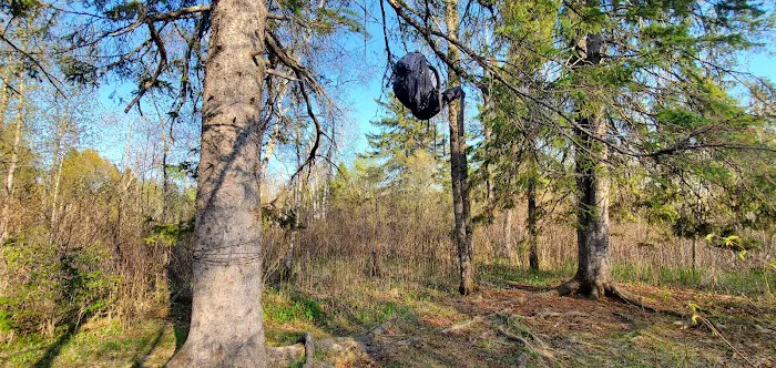 Blueberry Hill Campsite Picture 10