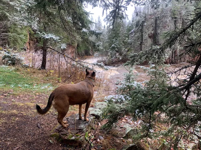 Southeast Split Rock Campsite Picture 8