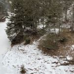 Southeast Split Rock Campsite