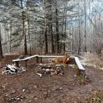 Northeast Split Rock Campsite