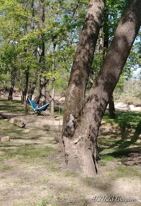 Caplinger Woods Picture 1