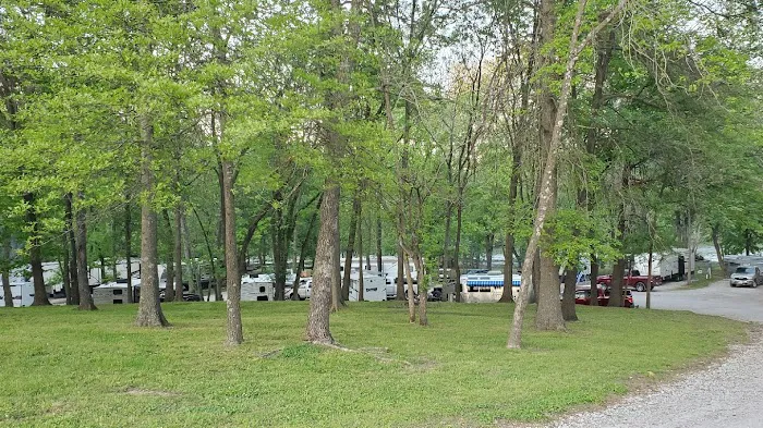 Caplinger Woods Picture 6