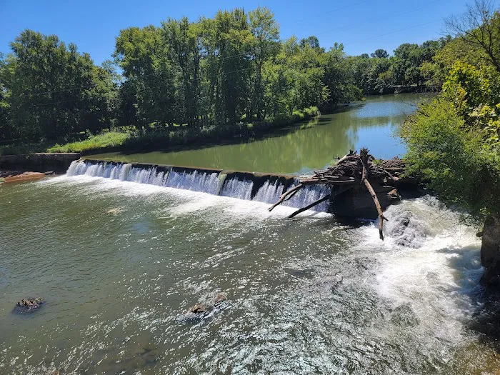 Caplinger Woods Picture 7