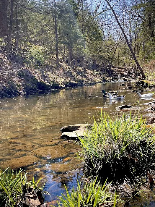 Kimmys At Caplinger Picture 4