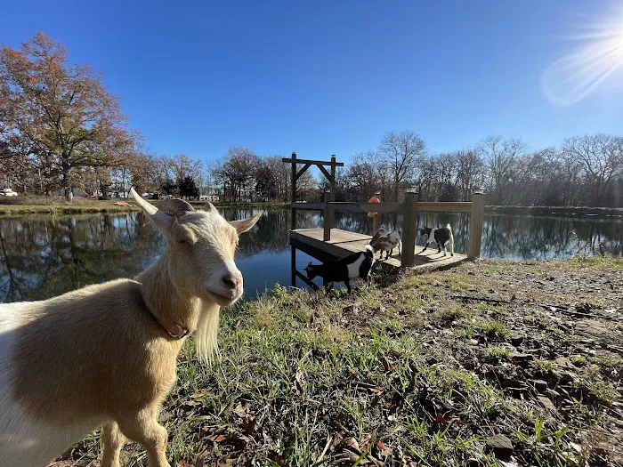 Kimmys At Caplinger Picture 5