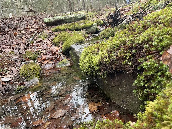 Kimmys At Caplinger Picture 8