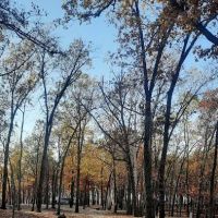 Crabtree Cove A Loop ico