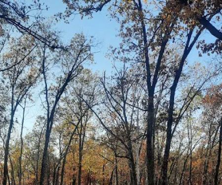 Crabtree Cove A Loop