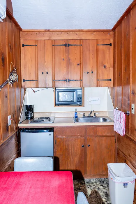 Riverview Resort - Cabin Rental #5 Picture 5