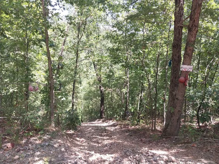 Eureka Springs Adventure Park Picture 6