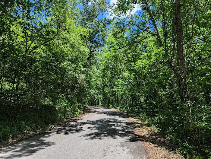 Parker Bottoms Campground Picture 9