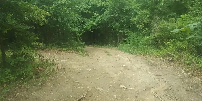 Ozark Mountains Campground Picture 6