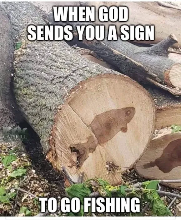 Ozark Mountains Campground Picture 8