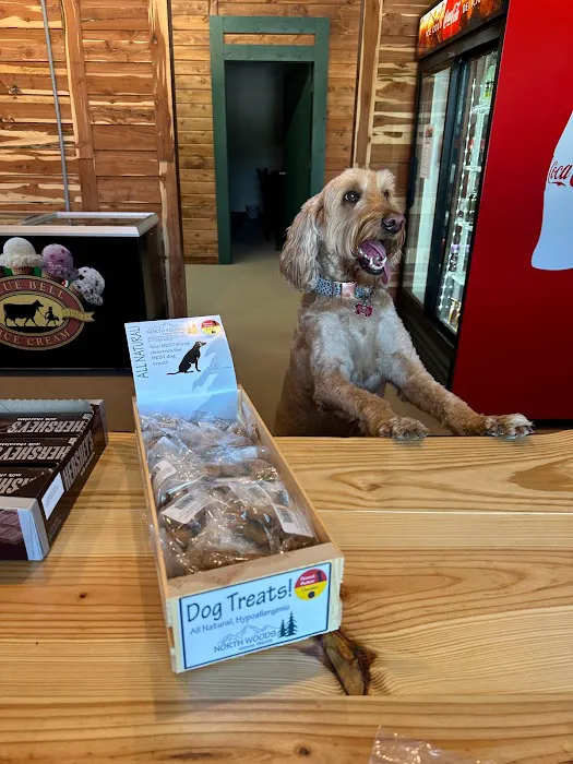 Roaring River Hills Campground and Cabins Picture 10